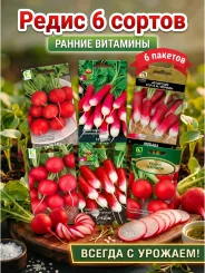 Наборы овощей "Редис" Наборы овощей "Редис"