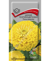 Цинния георгиноцветковая Птичка Канарейка