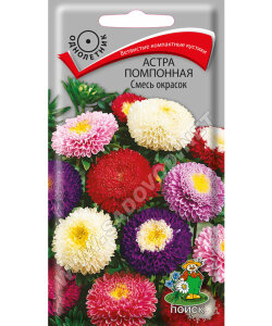 Астра помпонная Смесь окрасок Астра помпонная Смесь окрасок