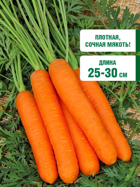 Морковь Император семена 