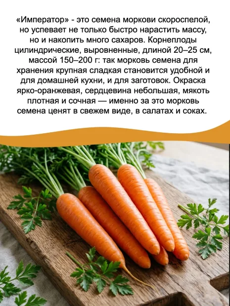 Морковь Император семена 