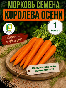 Морковь Королева Осени