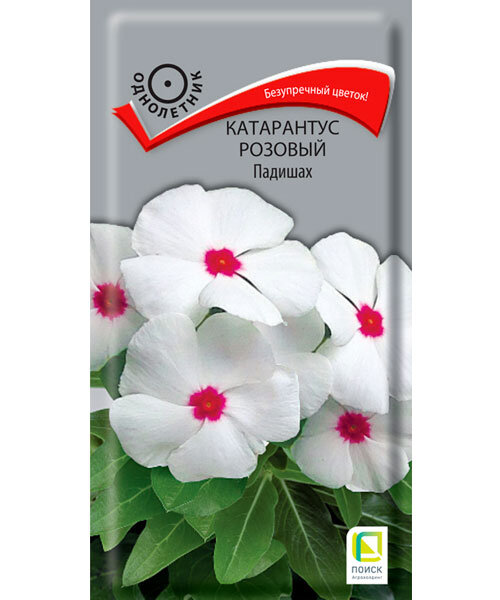 Катарантус Розовый Падишах семена
