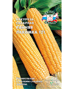 Кукуруза Раняя лакомка 121