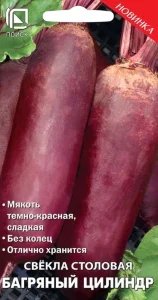 Свекла Багряный Цилиндр Свекла Багряный Цилиндр