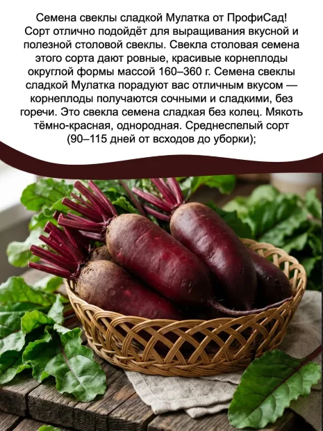 Свекла Мулатка семена 
