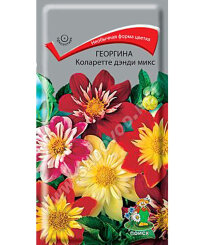 Георгина Коларетте Денди Микс