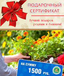 Подарочный сертификат на сумму 1500 руб Подарочный сертификат на сумму 1500 руб