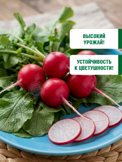 Редис Гром и Молния F1 семена 
