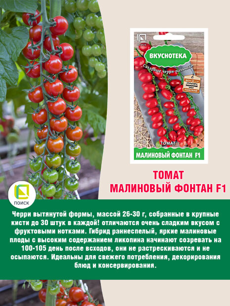 Томат Малиновый Фонтан F1 семена 
