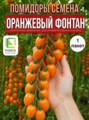 Томат Оранжевый Фонтан Томат Оранжевый Фонтан