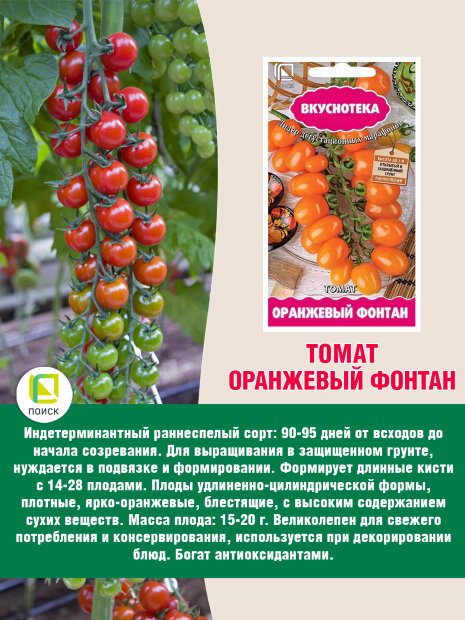 Томат Оранжевый Фонтан семена 