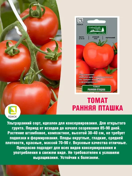 Томат Ранняя Пташка семена 
