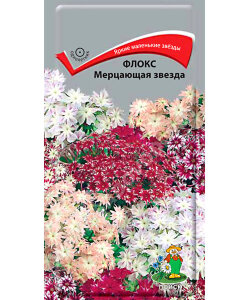 Флокс Мерцающая Звезда Флокс Мерцающая Звезда