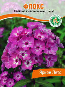 Флокс Яркое Лето Флокс Яркое Лето