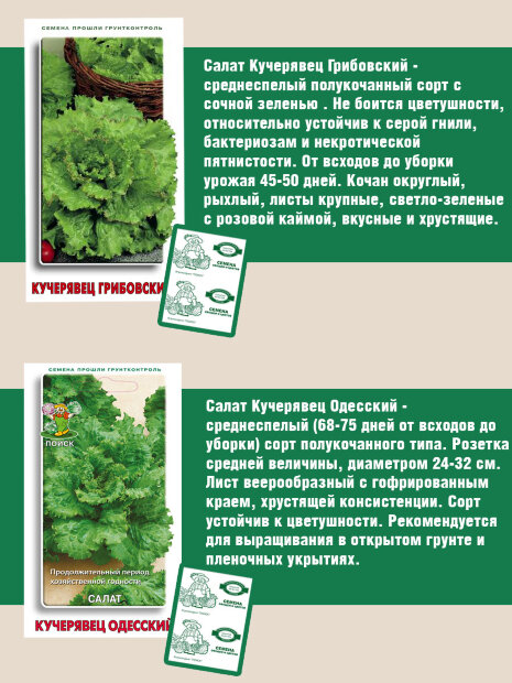 Наборы овощей "Салат" семена 