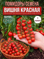 Томат Вишня красная Томат Вишня красная