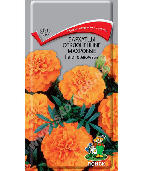 Бархатцы отклоненные махровые Петит Оранжевые семена