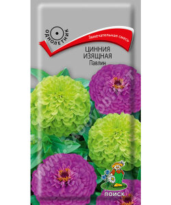 Цинния изящная Павлин