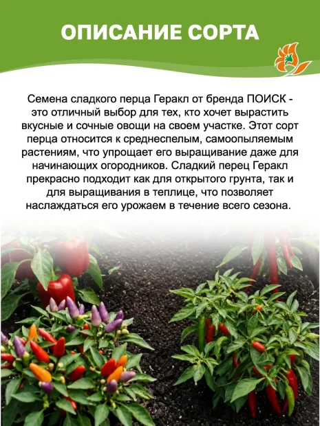 Перец сладкий Геракл  семена 