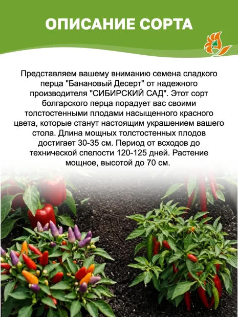 Перец сладкий Банановый Десерт семена 
