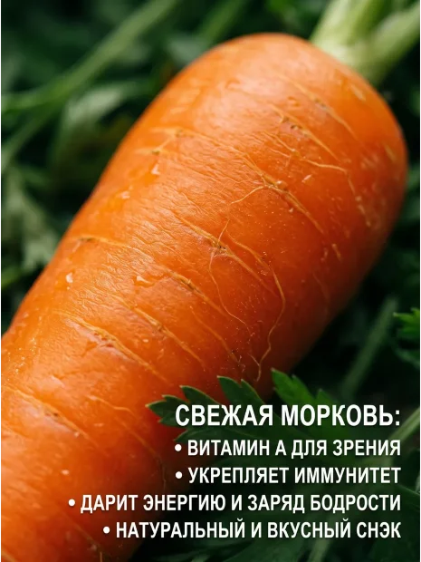 Морковь на ленте Королева осени семена 