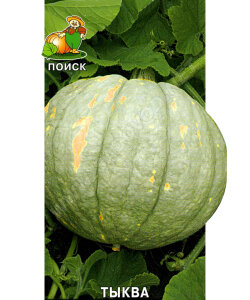 Тыква Зимняя сладкая 