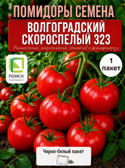 Томат Волгоградский скороспелый 323 Томат Волгоградский скороспелый 323