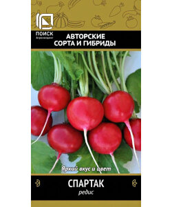 Редис Спартак 