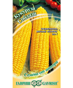 Кукуруза Соблазн сахарная Кукуруза Соблазн сахарная