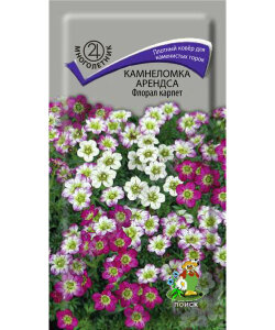 Камнеломка Арендса Флорал Карпет