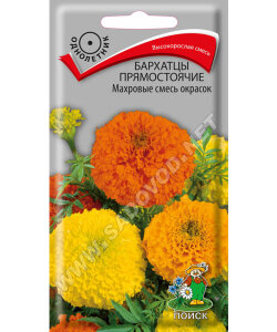 Бархатцы прямостоячие махровые Смесь окрасок